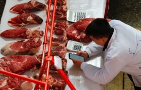 Рост потребления и внешние причины — почему в Казахстане дорожает мясо