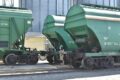 Қазақстан агроөнім экспортында 7 миллиард доллар деңгейінде рекордқа жетті
