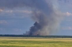 Лесные пожары в Казахстане: четыре региона пострадали от огня