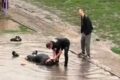 Арест двух мужчин в Астане за купание в луже и хулиганство