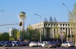 В Астане всадник на лошади получил штраф за повреждение тротуара и зелёных насаждений
