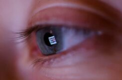 Казахстанцы смогут онлайн найти свои избирательные участки перед выборами в Курултай