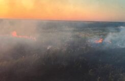 Ақмола облысында 230 гектардан астам дала өртенді