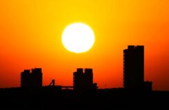 Шымкент: неделя с температурой до 40 градусов