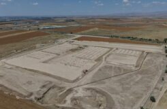 До 19 тысяч животных: крупную биржу строят под Шымкентом