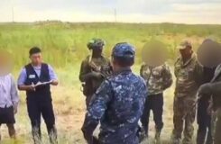 В Жамбылской области задержаны трое наркосборщиков с большим уловом