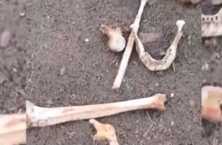 Семейде спорткомплекс құрылысында адам сүйектері табылды