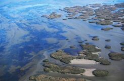 Новый остров возник в Каспийском море у берегов Казахстана