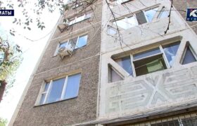 Алматинцы пожаловались на пенсионерку, превратившую квартиру в притон для собак