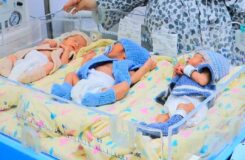 В Алматы зарегистрированы две тройни за август