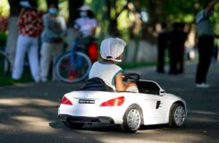 В Астане пресекают стихийную торговлю в Ботаническом саду
