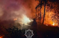 Тушение природного пожара в Костанайской области завершено