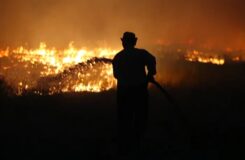 Пожар на севере Казахстана: тушение осложнено сложными условиями