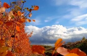 С родными разругаешься! Что нельзя делать в день Антона 15 сентября 2026