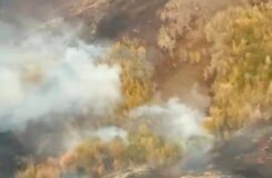 Пожар достиг Баянаульского национального парка в Карагандинской области