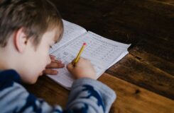 Россиялықтар мектеп біліміндегі жаңалықтар туралы: ата-аналар мен оқушылардың пікірі
