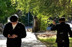 Жители Актобе жалуются на нашествие мошек, мешающих повседневной жизни