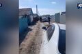 Провалы грунта на окраине Семея угрожают безопасности автотранспорта