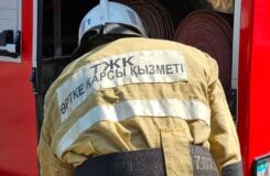 Грузовик с горящим сеном заметили в Елтае под Алматы