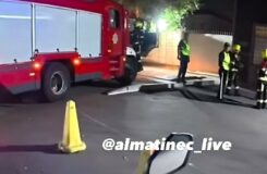 Денсаулық сақтау министрлігі Алматыдағы аса қауіпті инфекциялар ұлттық ғылыми орталығындағы өртке пікір білдірді