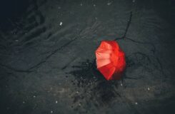 Сейсенбі күні Қазақстанның бірқатар өңірлерінде жаңбыр күтілуде
