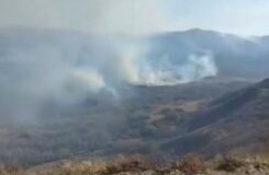 Тарбагатай ұлттық паркінде өрт локализацияланды