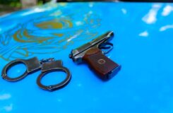 Түркістан облысында бес жыл бойы құқық қорғау органдарынан жасырынып жүрген шетелдік азамат ұсталды