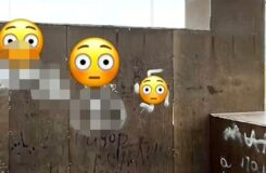 Шахтинскідегі жасөспірімдер орталық паркті бояп тастады