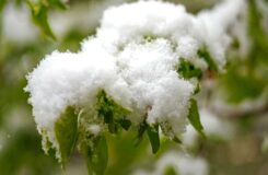Прогноз погоды в Астане: дождь и снег в начале октября
