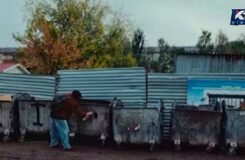Художник из Петропавловска получил арест за роспись мусорных баков
