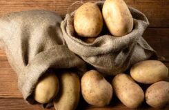 Экспорт картофеля из Казахстана не будет ограничен
