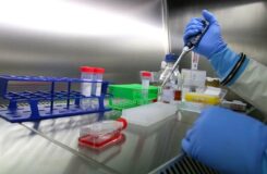 Казахстан увеличивает расходы на научные исследования до 1% ВВП, заявил Токаев
