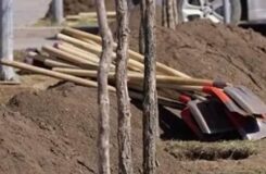 От учителей к врачам: Аймагамбетов высказался о проблеме лишней работы в Казахстане