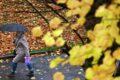 Какая погода будет в Казахстане 4 октября