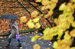 Какая погода будет в Казахстане 4 октября