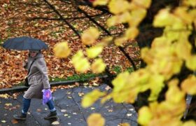 Какая погода будет в Казахстане 4 октября