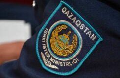 МВД призывает родителей контролировать безопасность детей в Казахстане