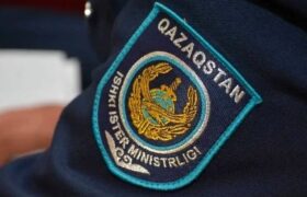 МВД призывает родителей контролировать безопасность детей в Казахстане