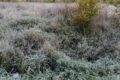 Погода в Поволжье в ноябре: температура до минус 17 градусов