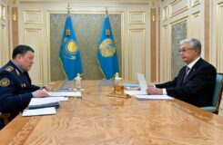 Токаев принял Саденова