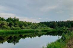 Протест жителей Московского против скотомогильника в Костанайской области