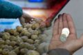 В ЗКО выделили 4,5 млрд тенге на доступные продукты: где и по каким ценам их можно купить