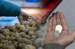В ЗКО выделили 4,5 млрд тенге на доступные продукты: где и по каким ценам их можно купить