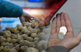 В ЗКО выделили 4,5 млрд тенге на доступные продукты: где и по каким ценам их можно купить
