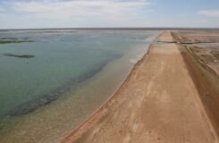 Вода возвращается в Арал, но Каспий вызывает тревогу: что предпринимает Казахстан