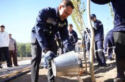 Создание новой зелёной зоны в Балхаше: «Казахмыс» высаживает 2500 деревьев