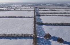Снегопады и метели накрыли Алтай: последствия и предупреждения
