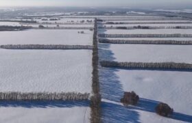 Снегопады и метели накрыли Алтай: последствия и предупреждения
