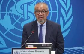 «Пневмония неустановленной этиологии»: новое заявление сделали в ВОЗ по ситуации в Иркутской области