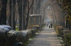 Заморозки и сильный ветер: штормовое предупреждение объявили в Казахстане